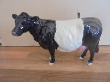 Beswick belted galloway for sale  HOUGHTON LE SPRING