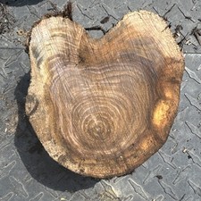 Black walnut slab for sale  Cornell
