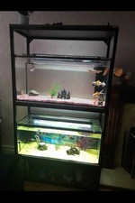 Double decker fish for sale  BRADFORD