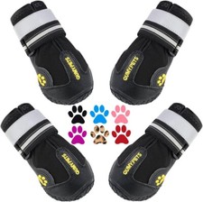 Qumy dog shoes for sale  BRIGHTON