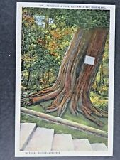 Vintage postcard arbor for sale  West Bend