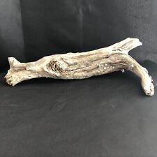 Natural driftwood barnacles for sale  Essex