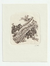 Wojcich jakubowski exlibris gebraucht kaufen  Berlin