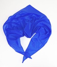 Fdj halstuch blau gebraucht kaufen  Neugersdorf