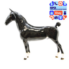 beswick hackney horse for sale beswick hackney horse for sale WAKEFIELD