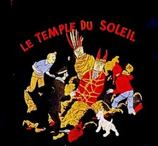 Studio temple soleil d'occasion  Expédié en Belgium