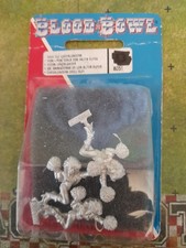 Cheerleader blood bowl gebraucht kaufen  Uetersen