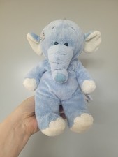 Blue nose floppy for sale  SOUTHAMPTON