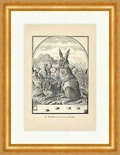 Hase nebst spur gebraucht kaufen  Grabenstätt