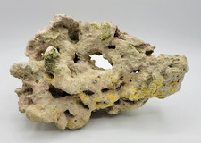 Natural white coral for sale  Madison