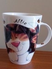 Roy kirkham cats for sale  DERBY