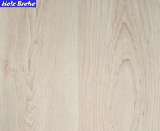 Meister laminatboden kastilien gebraucht kaufen  Springe