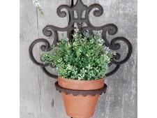Cast iron plant for sale  LONDON