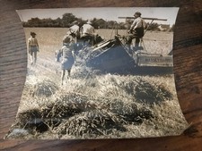 Ancienne photo presse d'occasion  Lavera