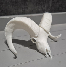 Small ram goat for sale  THORNTON-CLEVELEYS