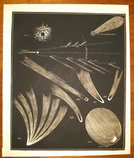 Stampa antica astronomia usato Stampa antica astronomia usato  Roma