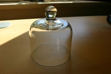 Glasglocke glashaube gebraucht kaufen  Mohlsdorf-Teichwolframsdorf