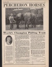1929 percheron horse for sale  Branch