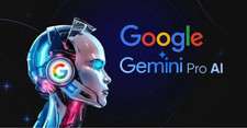 Gemini pro abbonamento usato  Sesto San Giovanni