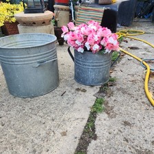 Vintage galvanised plant for sale  ABINGDON