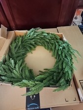 Terrain norfolk pine for sale  Beaver Falls