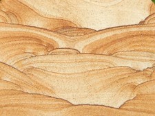 Picture stone sandstone for sale  Salt Lake City