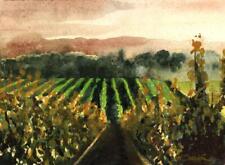 Napa valley morning for sale  Ventura