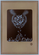 Damon roberts sérigraphie d'occasion  Paris XX