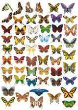 X55 butterfly stickers for sale  LEICESTER