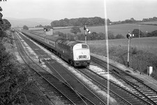 35mm negative type for sale  SOMERTON
