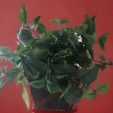 Artificial green plant for sale  Burns