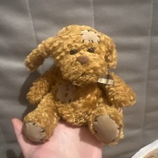 Paws tatty dog for sale  ASHTON-UNDER-LYNE