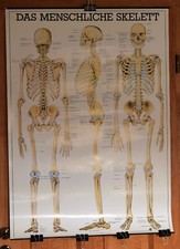 Rüdiger lehrmittel lehrtafel gebraucht kaufen  Burgdorf