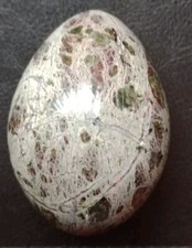 Serpentine egg lizard for sale  REDRUTH