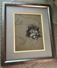 Lion crayon gouache d'occasion  Le Chesnay