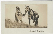 Stoney indian chief for sale  ORPINGTON