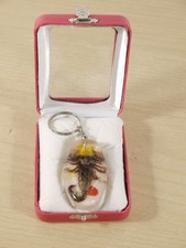 Vintage real scorpion for sale  RUGBY