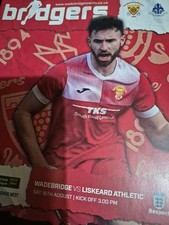 Wadebridge town liskeard for sale  LINCOLN