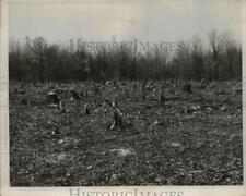 1953 press photo for sale  Memphis
