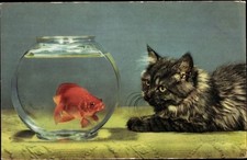 Katze beobachtet goldfisch gebraucht kaufen  Berlin