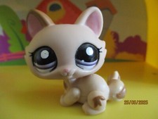 Petshop chat sphynx d'occasion  Saint-Omer