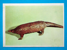 Figurina panini animali usato  Maranello
