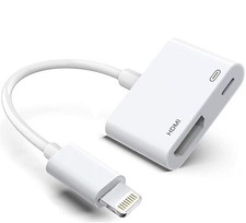Apple adattatore lightning usato  Roma
