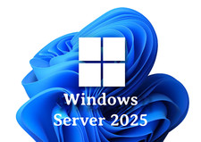 Windows server 2025 usato  San Giovanni Rotondo
