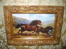 Horses run free for sale  Fresno