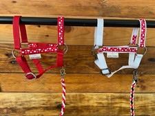 Cavezza per hobby usato  Vizzolo Predabissi