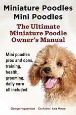 Miniature poodles mini for sale  UK