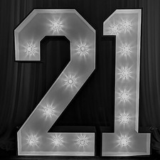 21st birthday decorations for sale  DONCASTER