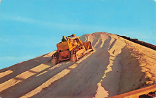 Vintage 1950s caterpillar for sale  Naples