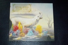 Hollow bones rival for sale  WREXHAM